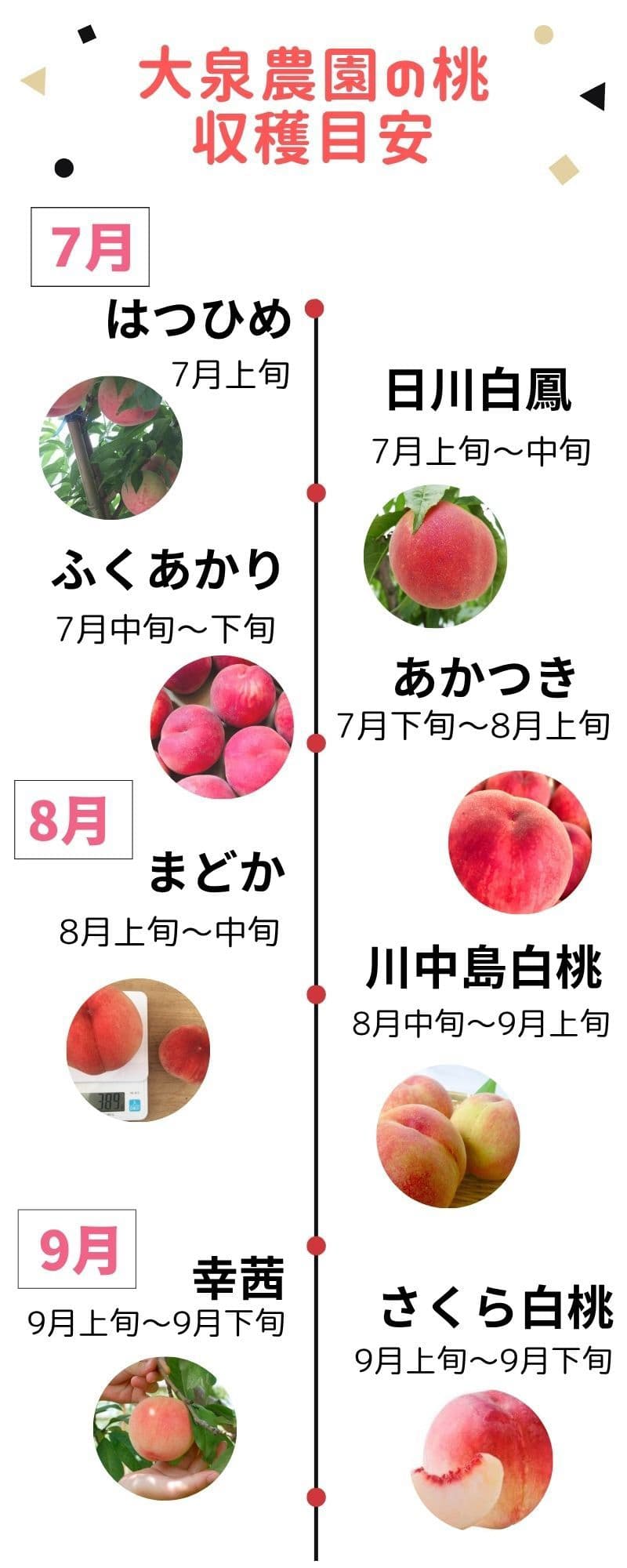 大泉農園の桃 収穫目安